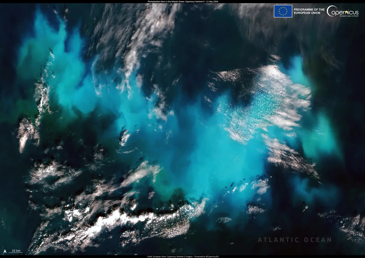 Large phytoplankton bloom in the Atlantic Ocean, captured by Copernicus Sentinel-2